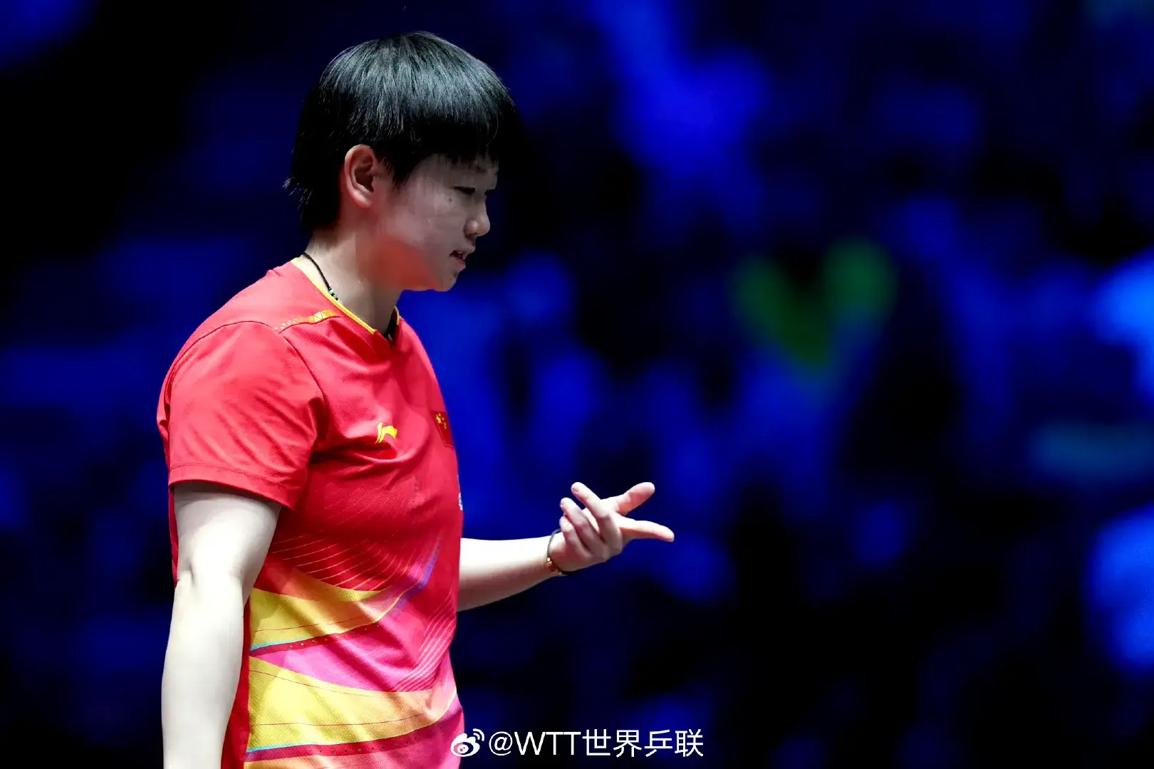 entit, 林诗栋VS, 女单